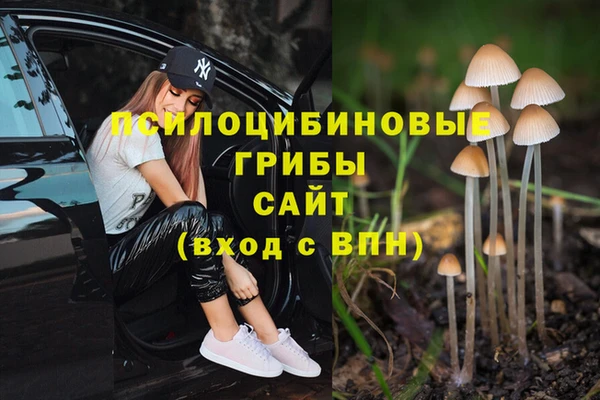 гидропоника Белоозёрский